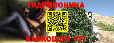 сатива Краснодар