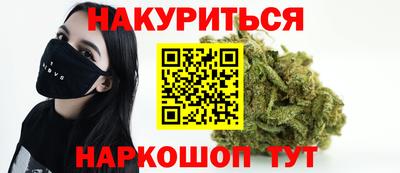 сатива Краснодар