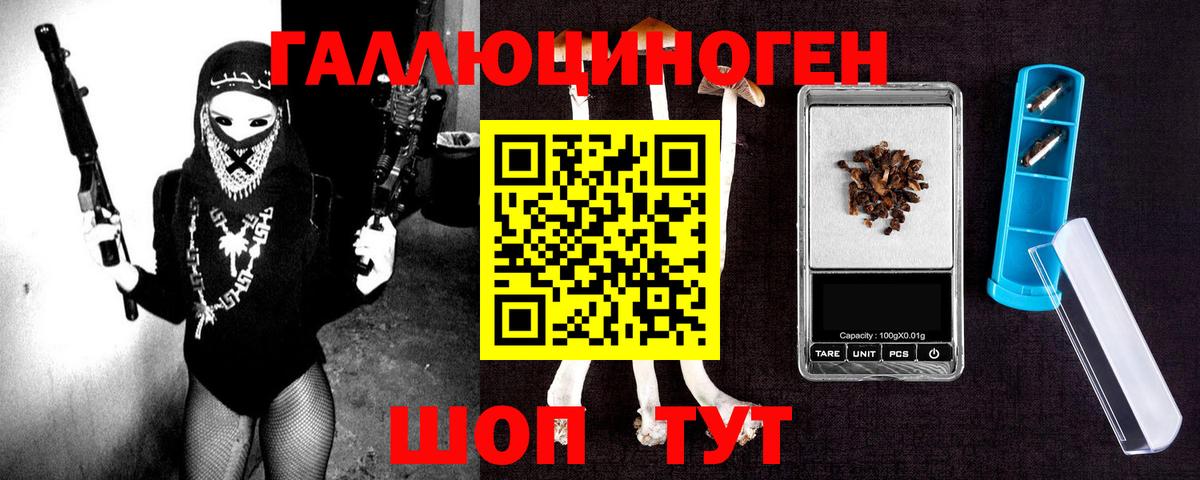 Галлюциногенные грибы Psilocybe  Вход с VPN  Каменка 