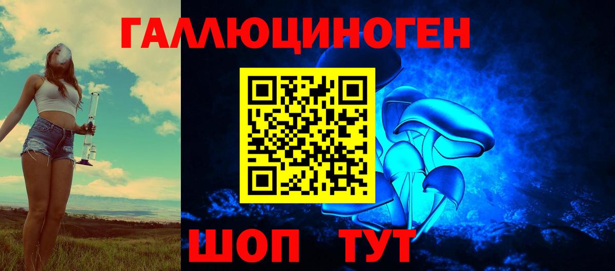 Галлюциногенные грибы Cubensis Каменка